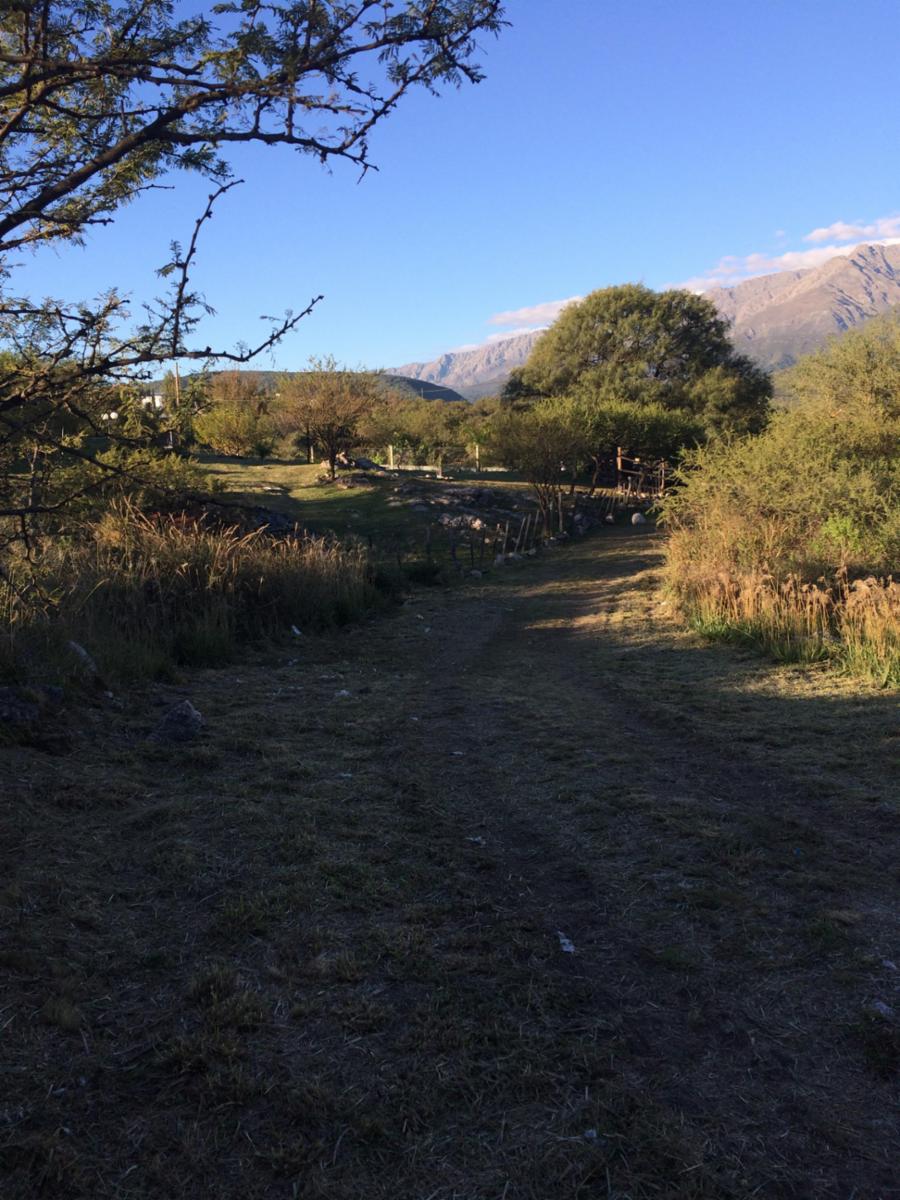lote de terreno / panorámico — foto 2