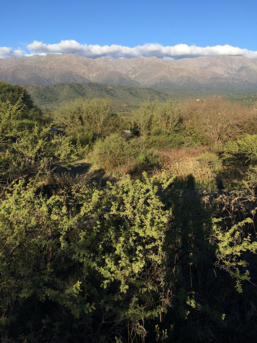lote de terreno / panorámico — foto 5