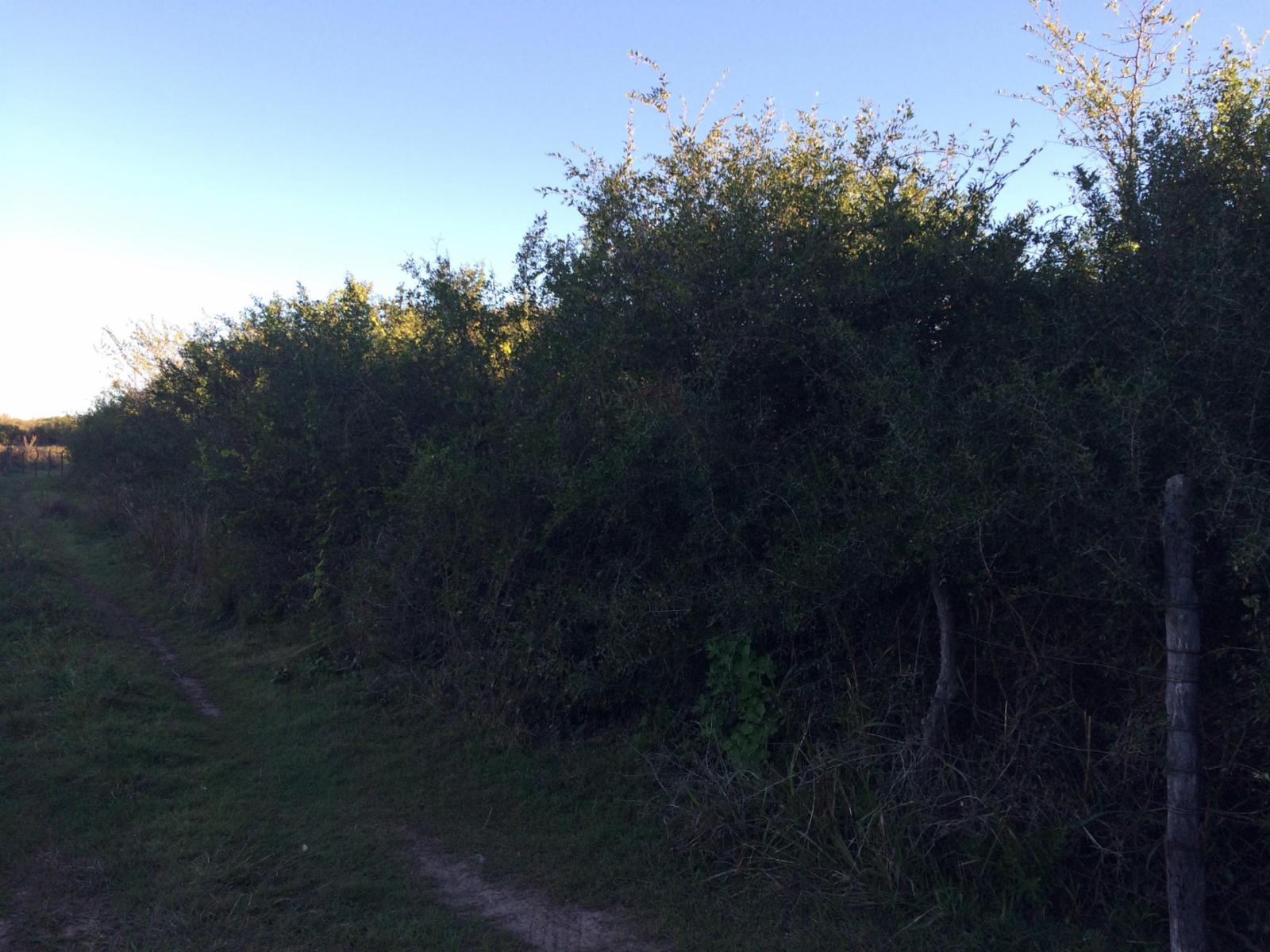 Lote de terreno / campo — foto 3