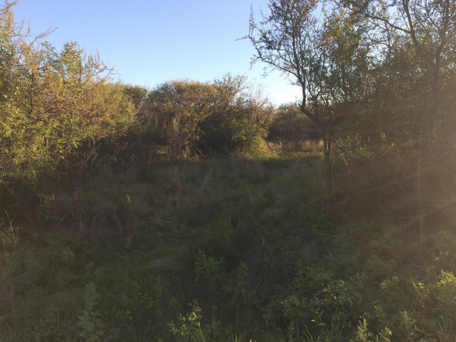 Lote de terreno / campo — foto 4