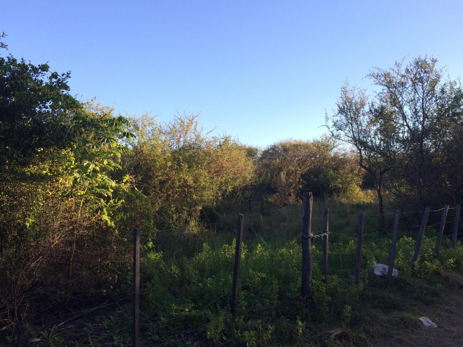 Lote de terreno / campo — foto 5