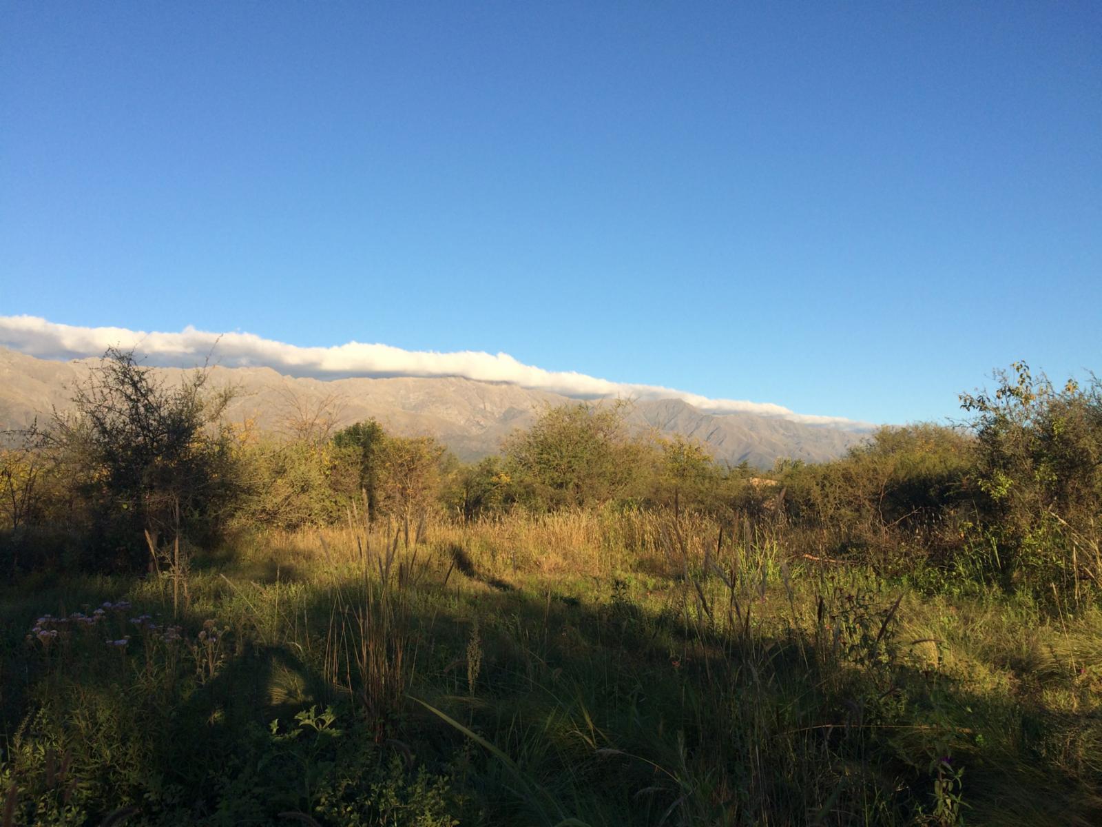 Lote de terreno / LOTEO — foto 2