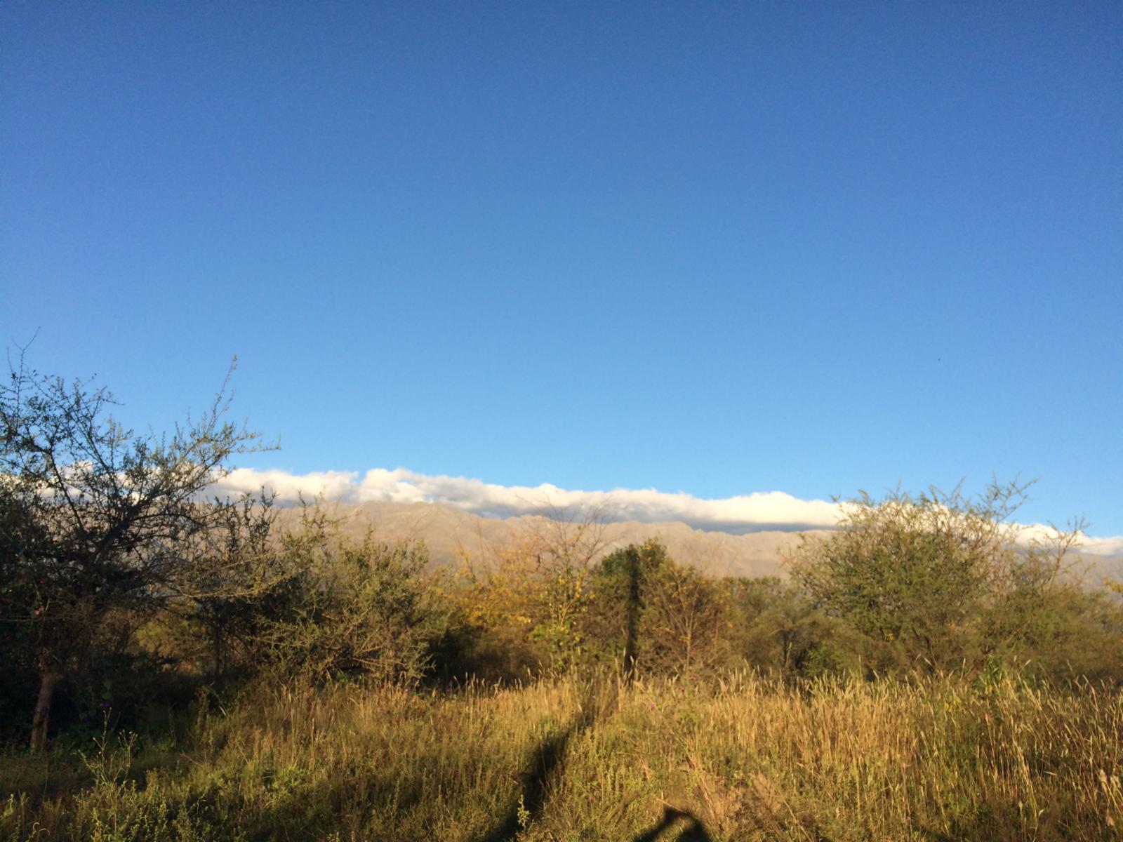Lote de terreno / LOTEO — foto 3