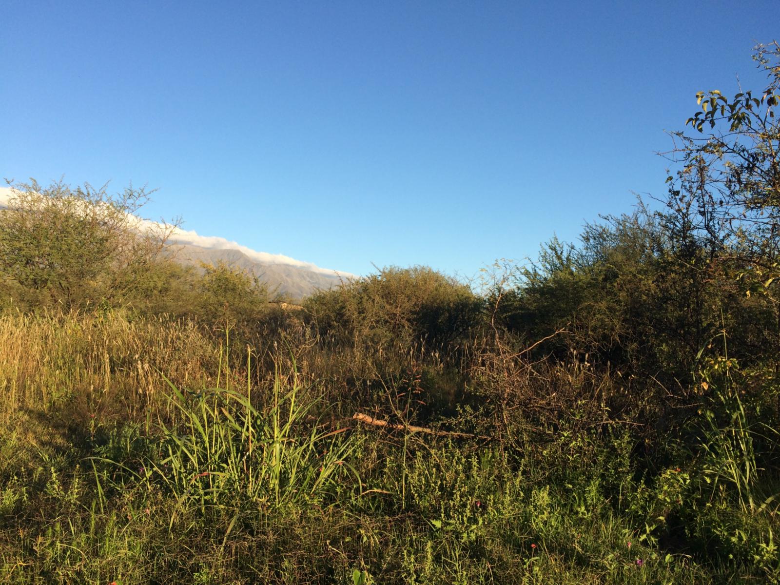 Lote de terreno / LOTEO — foto 4