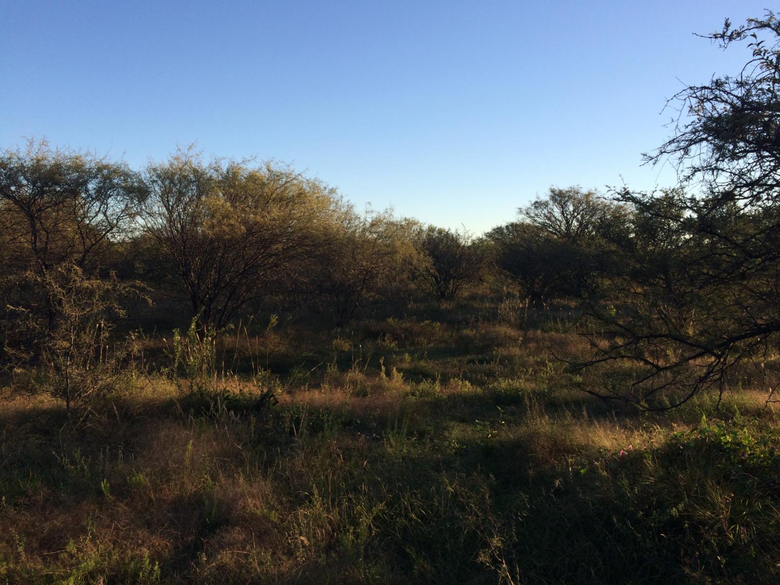 Lote de terreno / LOTEO — foto 7