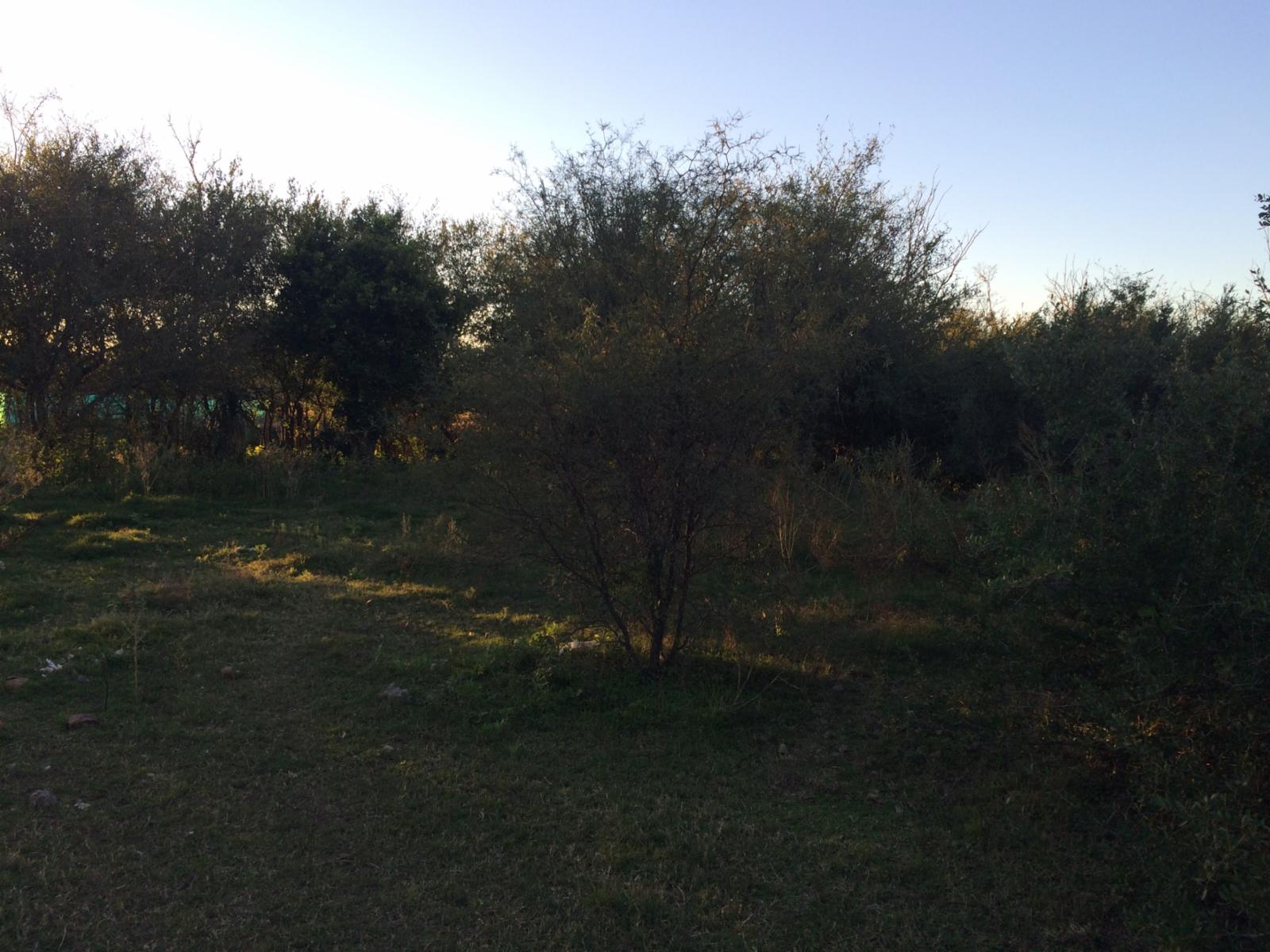Lotes de terreno / dos unidades — foto 2