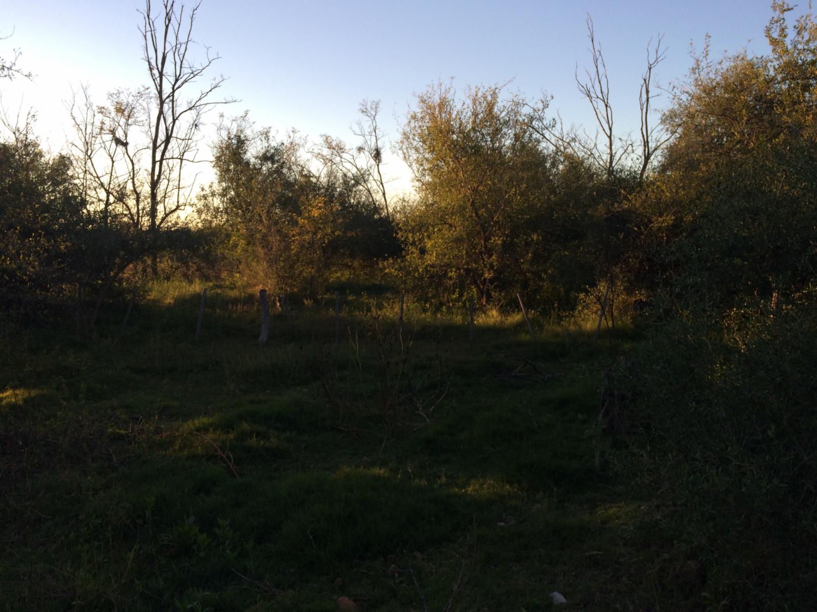 Lotes de terreno / dos unidades — foto 3
