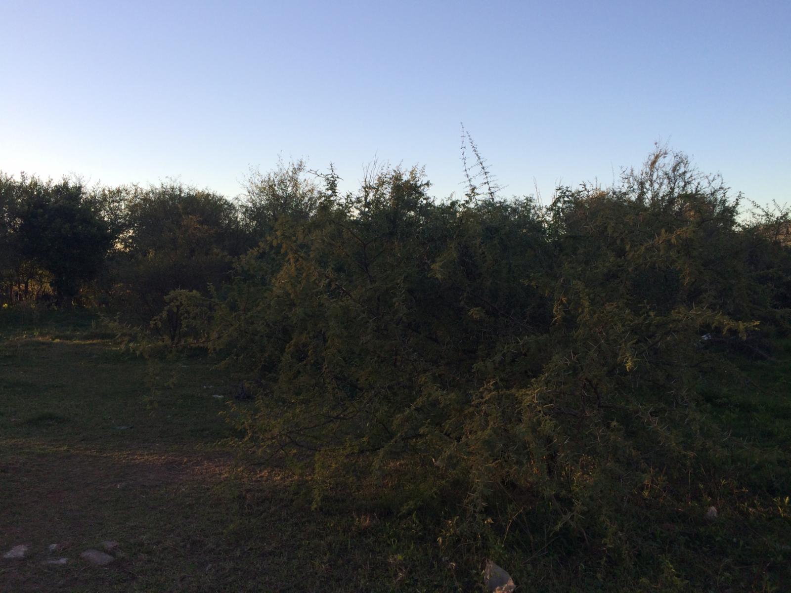 Lotes de terreno / dos unidades — foto 5
