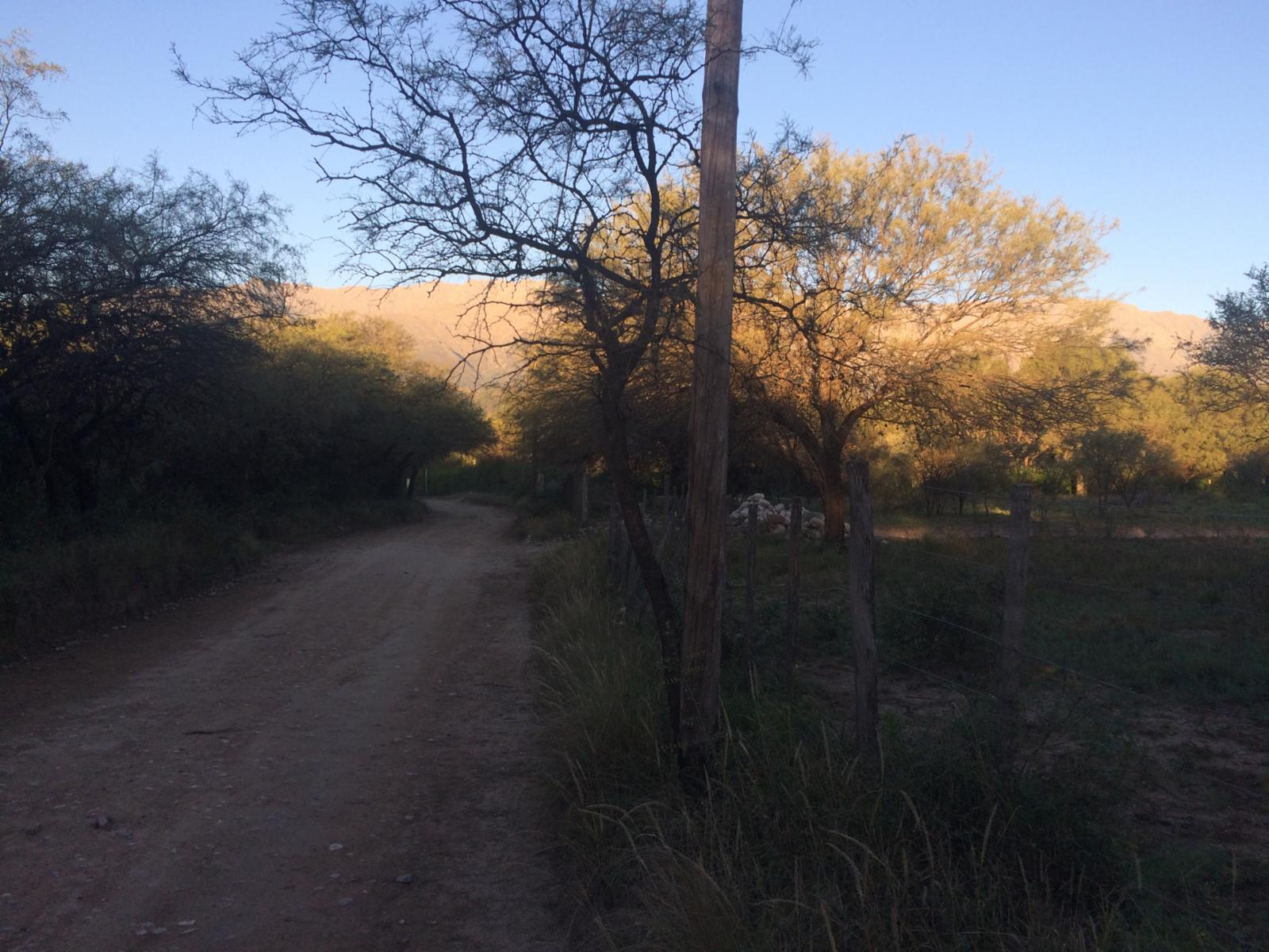 Lote de terreno / zona casa quintas — foto 3
