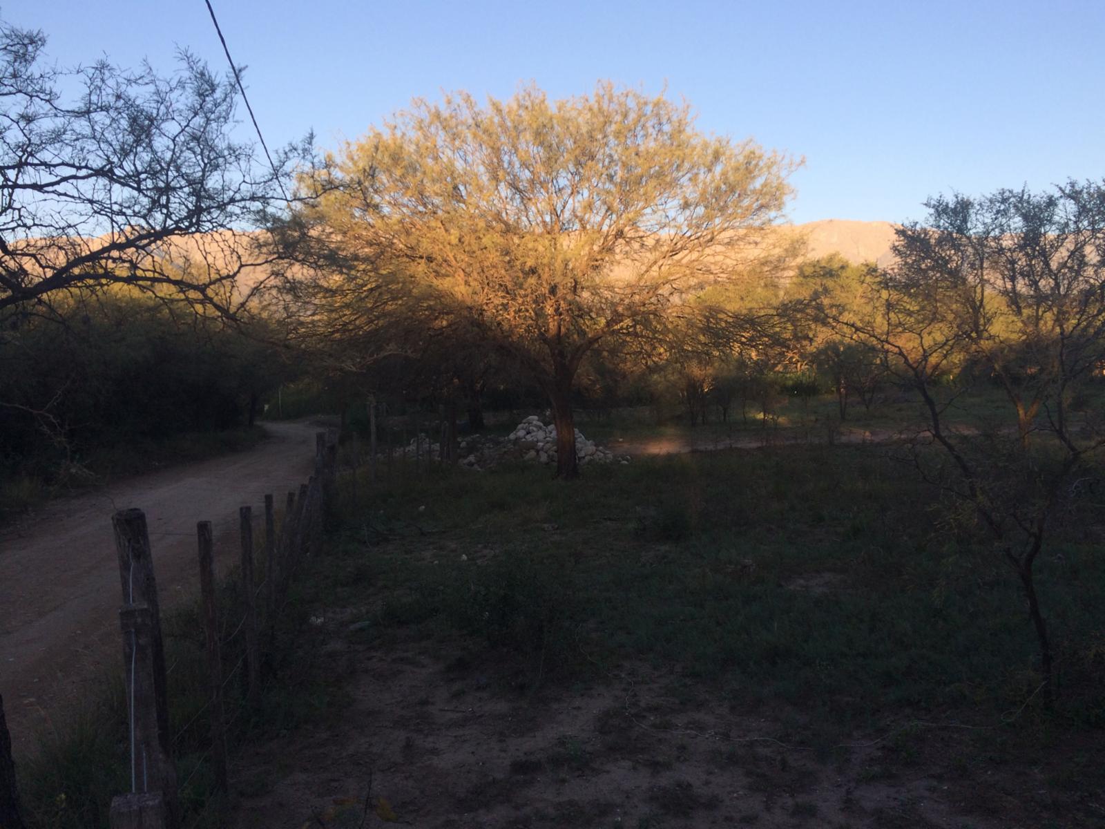 Lote de terreno / zona casa quintas — foto 4