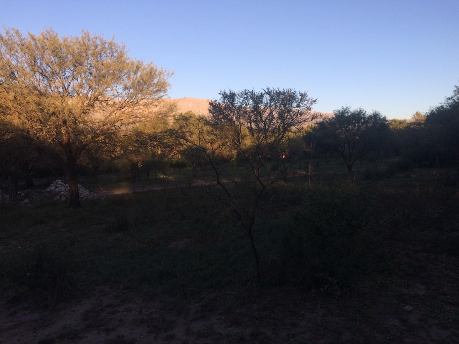 Lote de terreno / zona casa quintas — foto 7