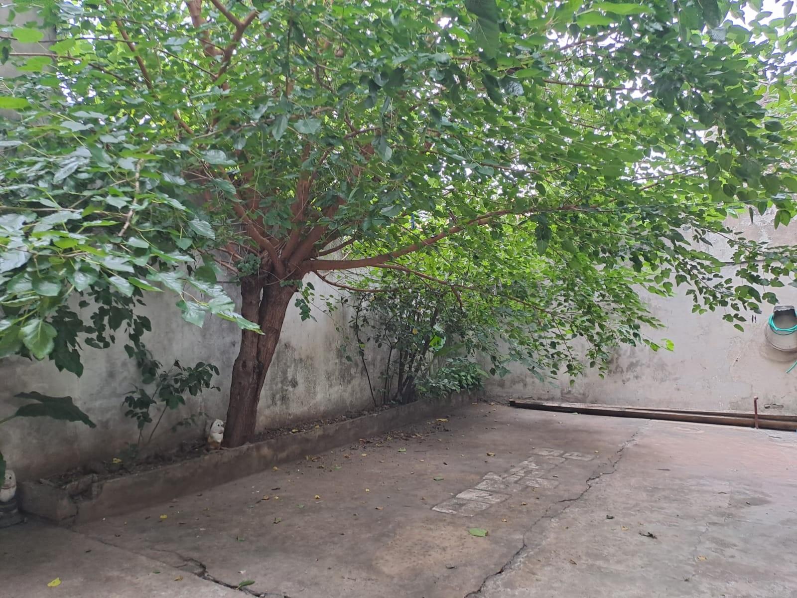ALDO BONZI-VENTA-CASA MULTIFAMILIAR — foto 5