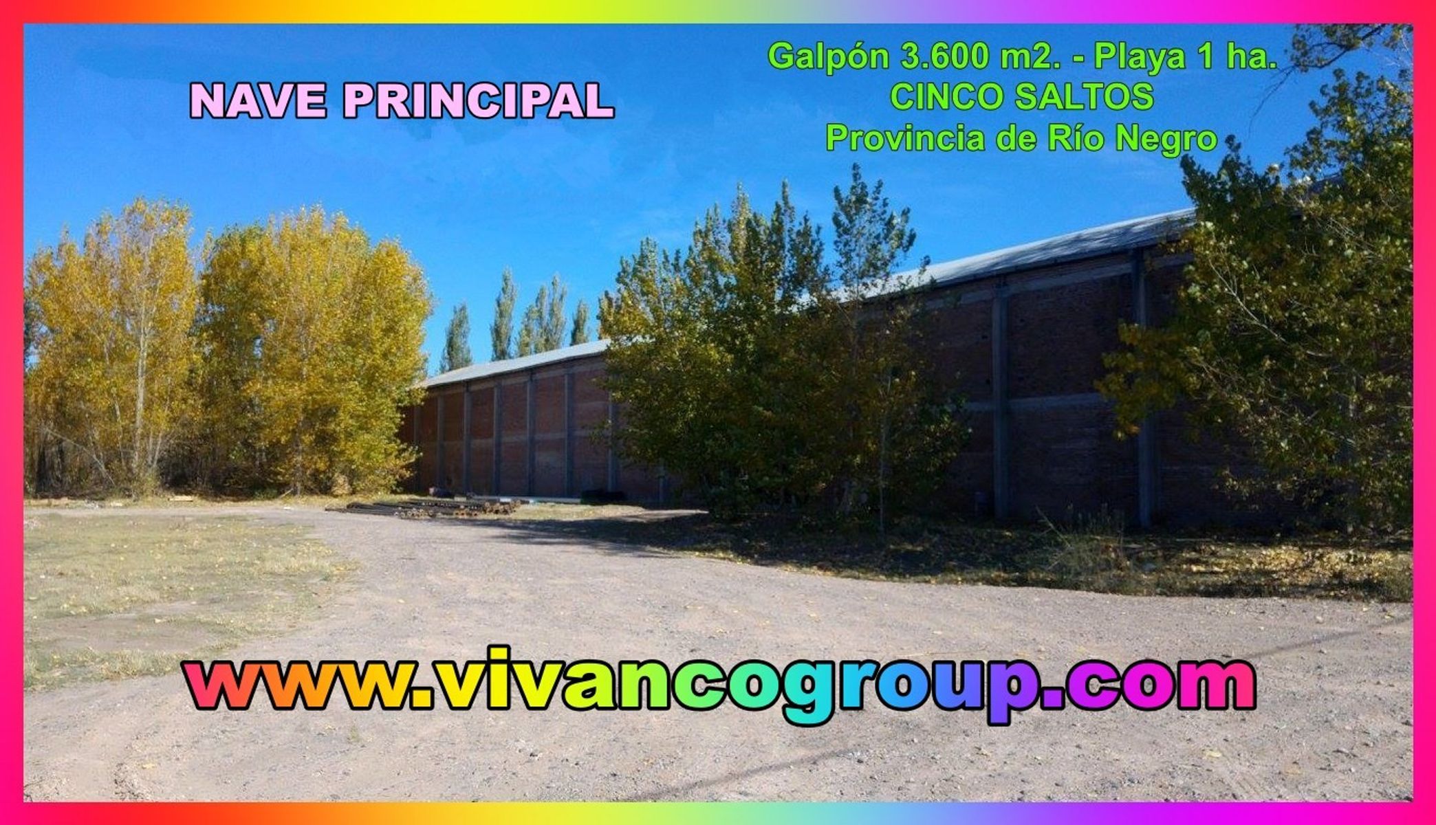 Se vende Galpón 3300 m2. - Zona chacras - Cinco Saltos - Provincia deRío Negro - 12