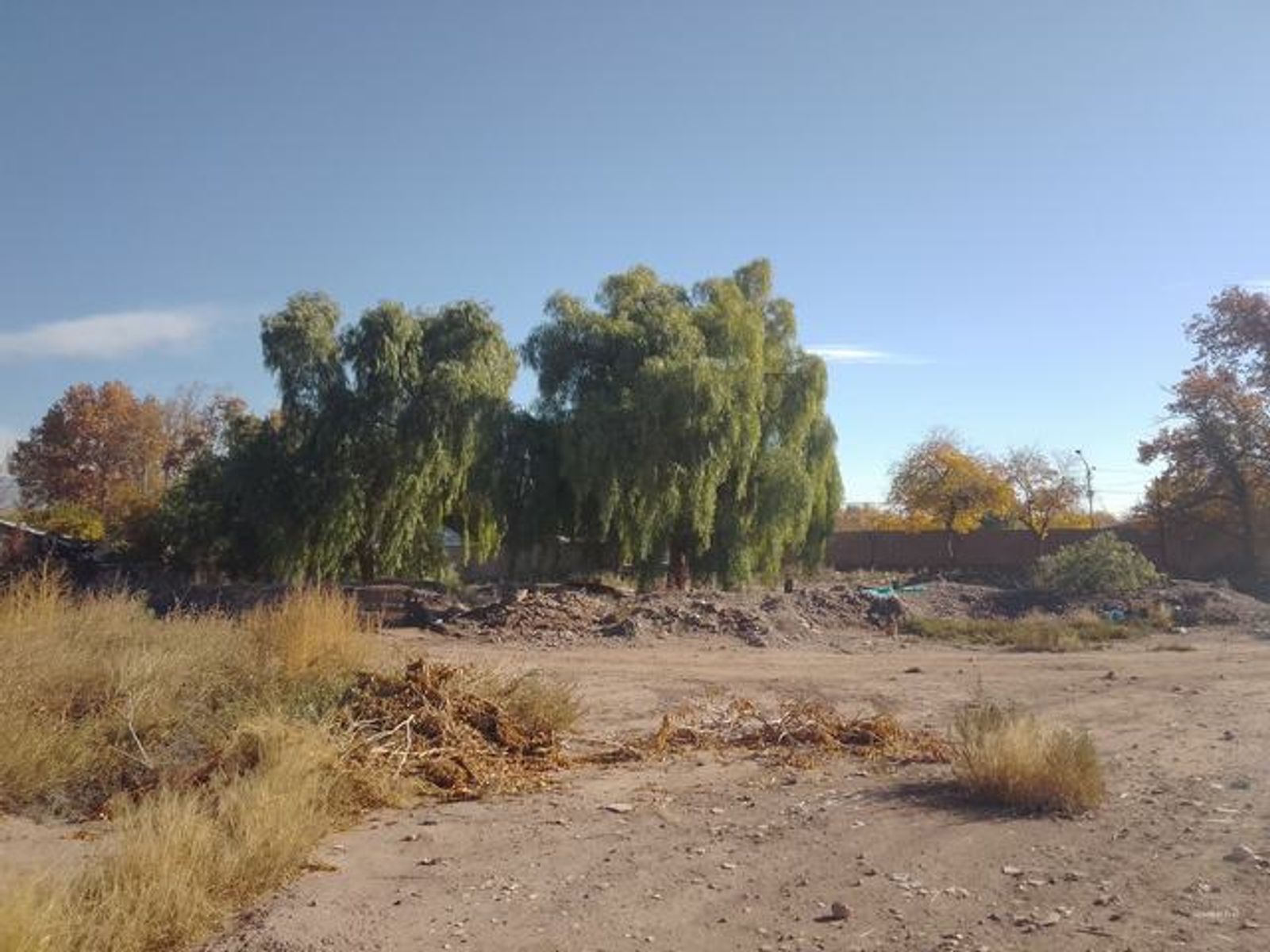 RAWSON Y 9 DE JULIO EN MAIPÚ — foto 6