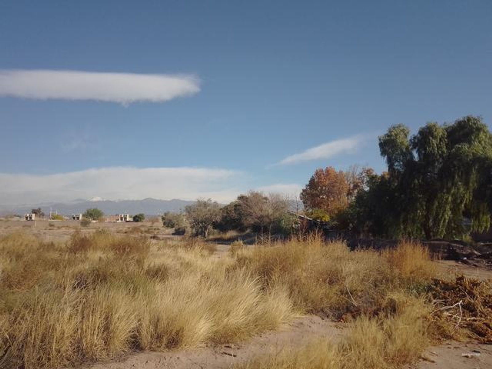 RAWSON Y 9 DE JULIO EN MAIPÚ — foto 7