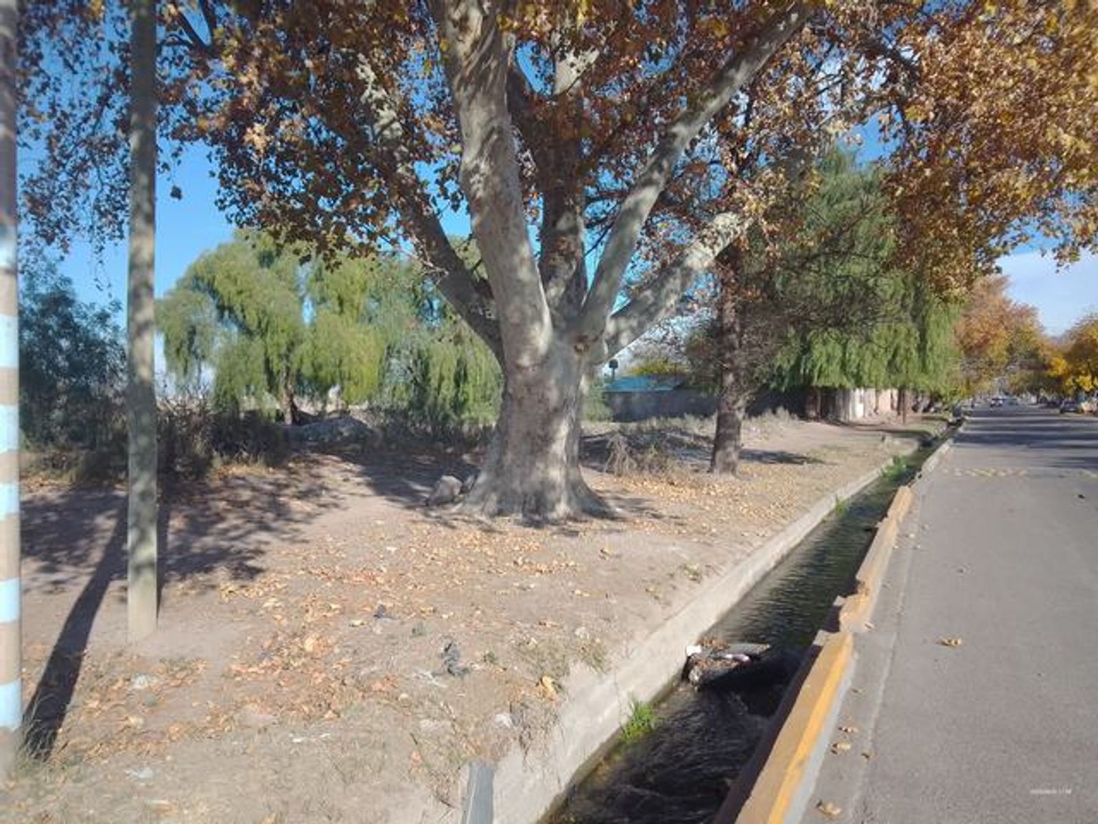 RAWSON Y 9 DE JULIO EN MAIPÚ — foto 11