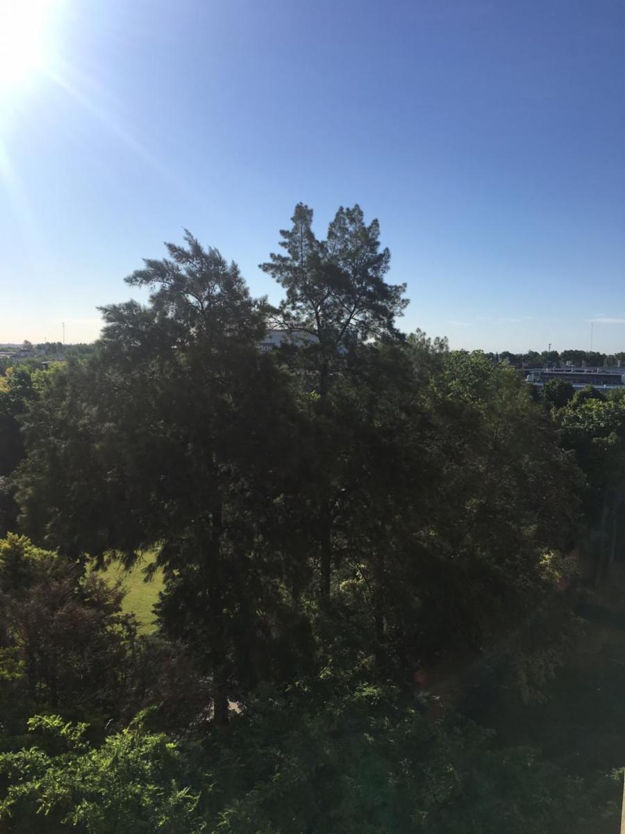 Venta, departamento 4 ambientes, Beccar — foto 8