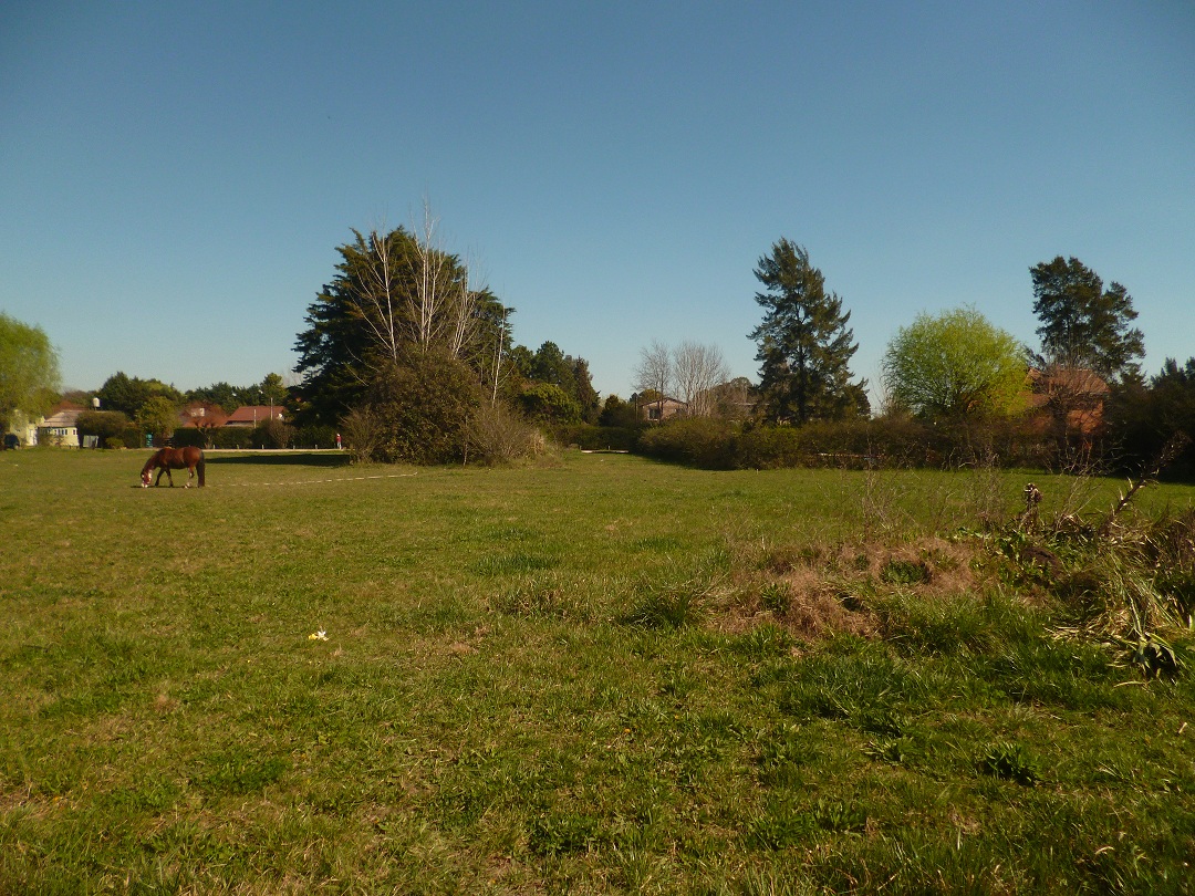 VENTA: Lote Parque Zakura, exaltación de la Cruz — foto 2