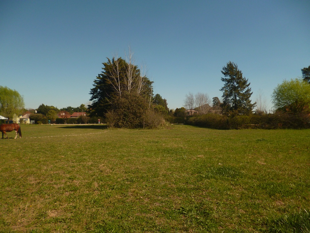 VENTA: Lote Parque Zakura, exaltación de la Cruz — foto 6