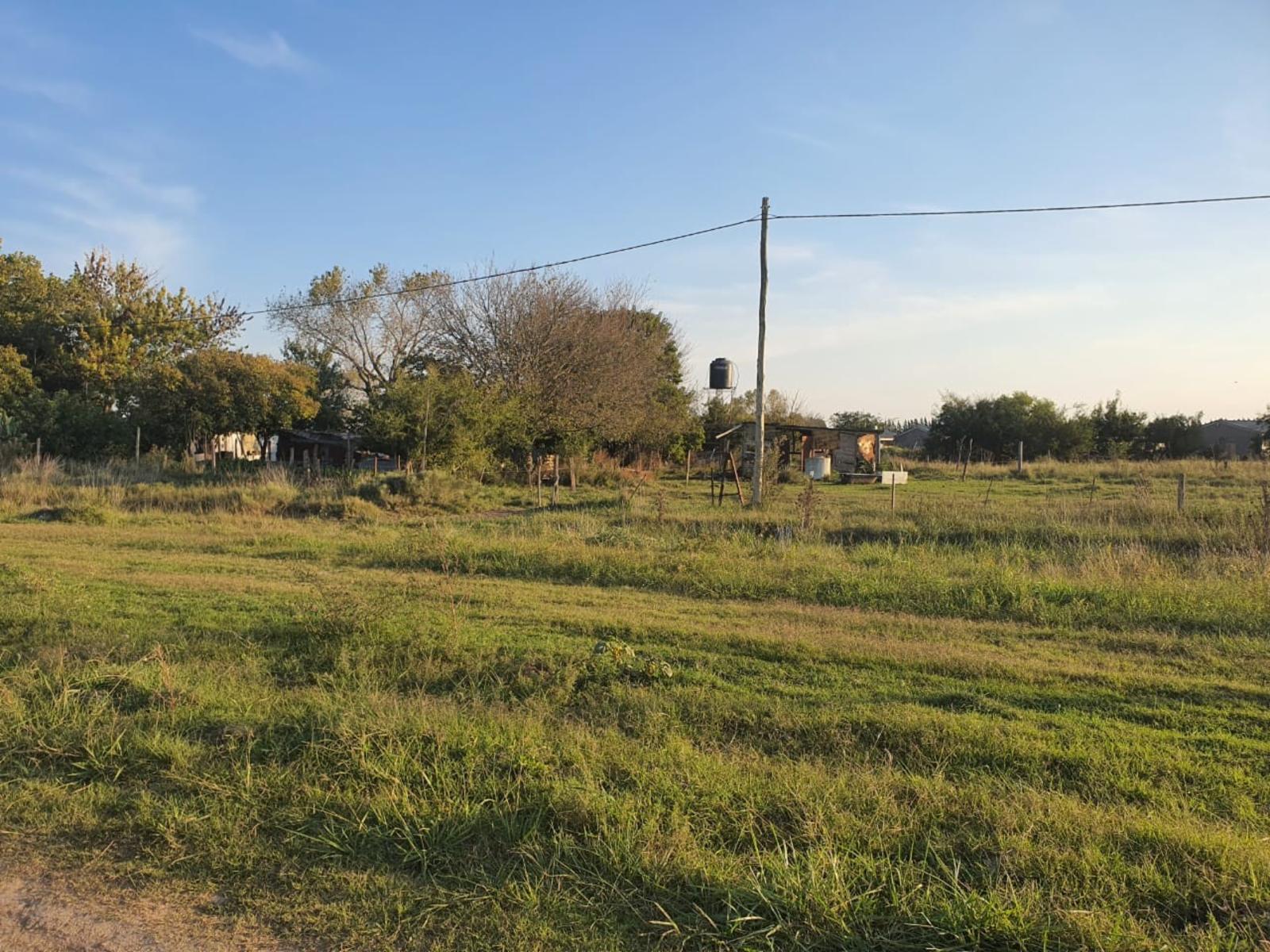 VENTA HECTAREAS DOMSELAAR