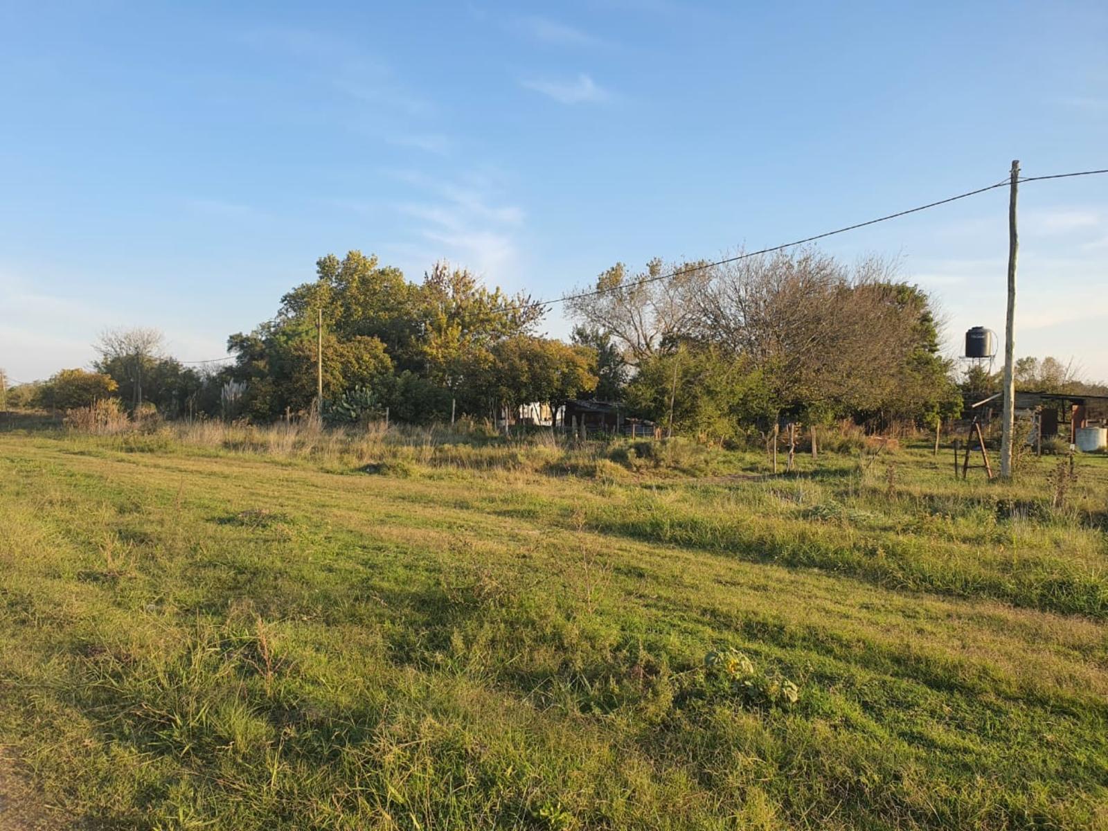 VENTA HECTAREAS DOMSELAAR — foto 2