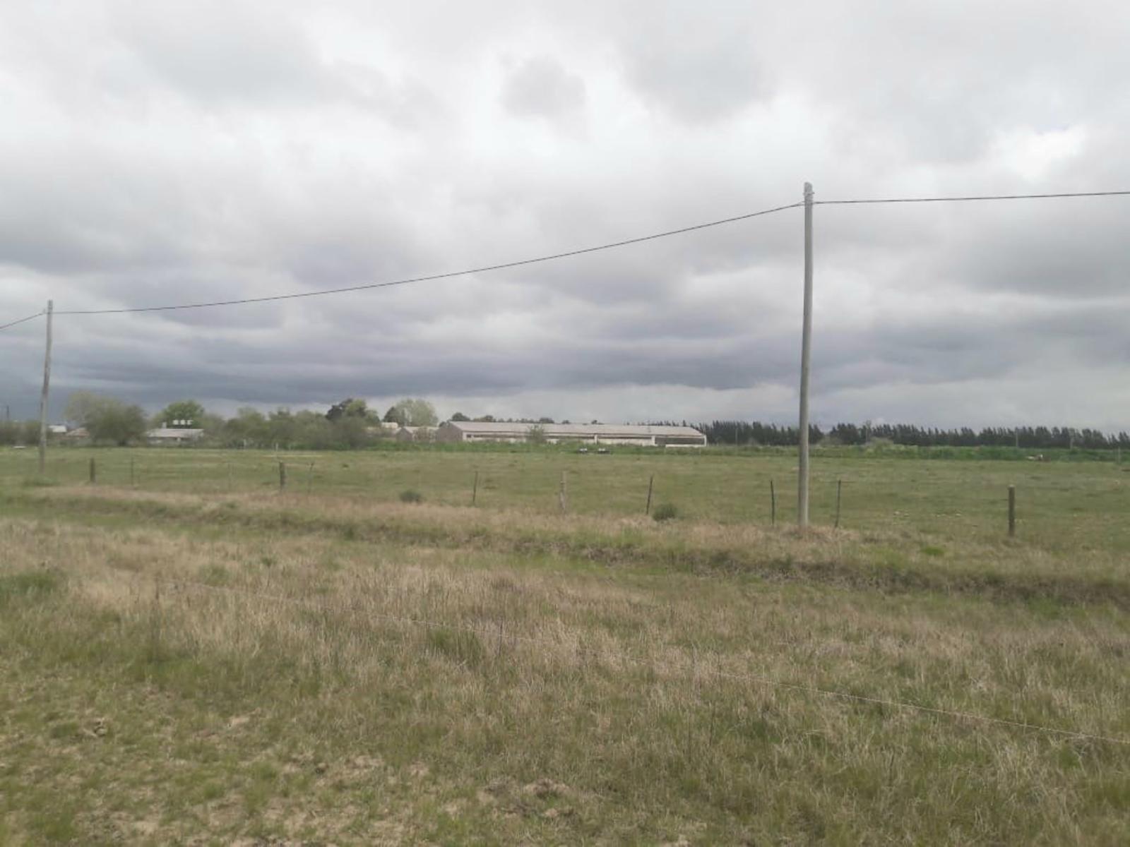 VENTA HECTAREAS DOMSELAAR — foto 3