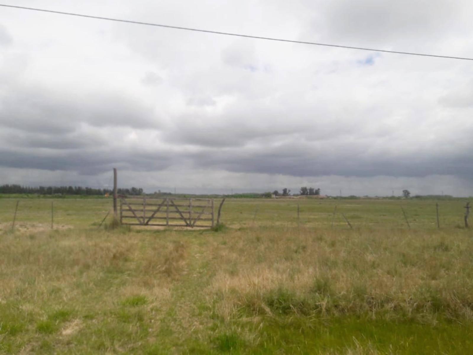 VENTA HECTAREAS DOMSELAAR — foto 4