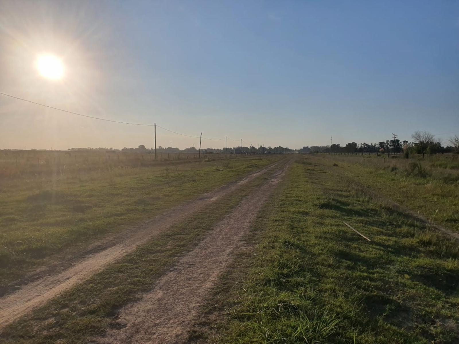 VENTA HECTAREAS DOMSELAAR — foto 8