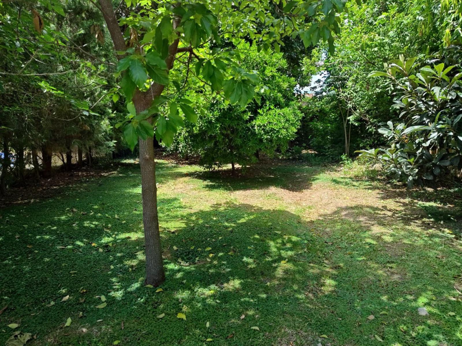 Casa con GRAN PARQUE — foto 3