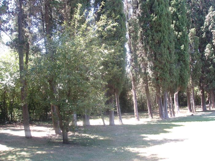 Quinta en Venta, Pilar, Buenos Aires — foto 4