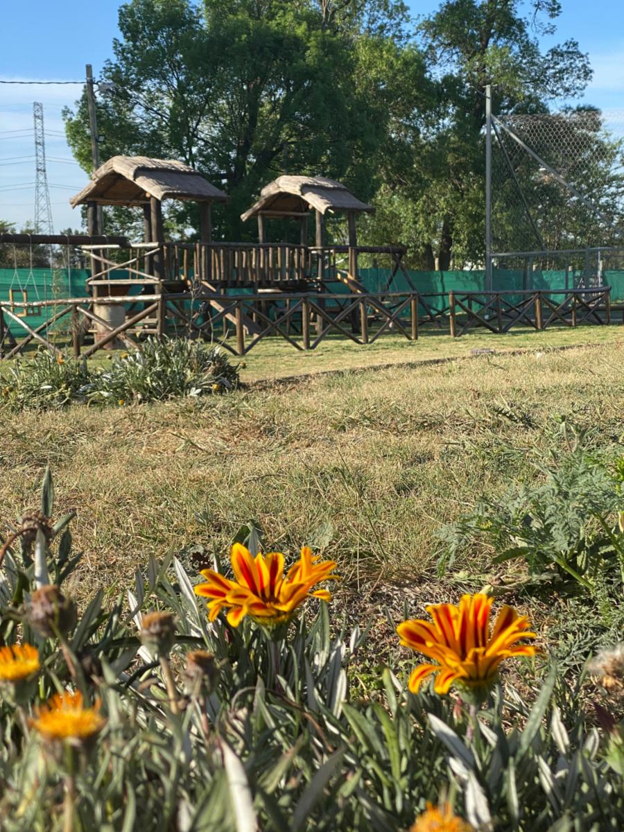 LA BONITA CLUB &amp EVENTOS - 2