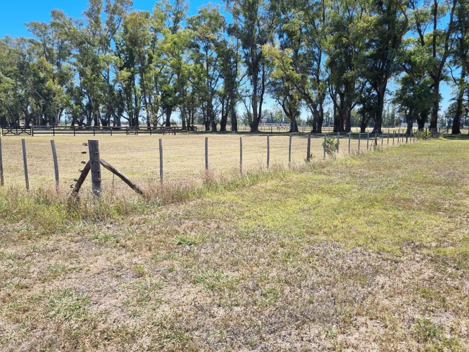 VENTA DE LOTE EN BARRIO CERRADO . CHACRAS DE SAN ANDRES - 4