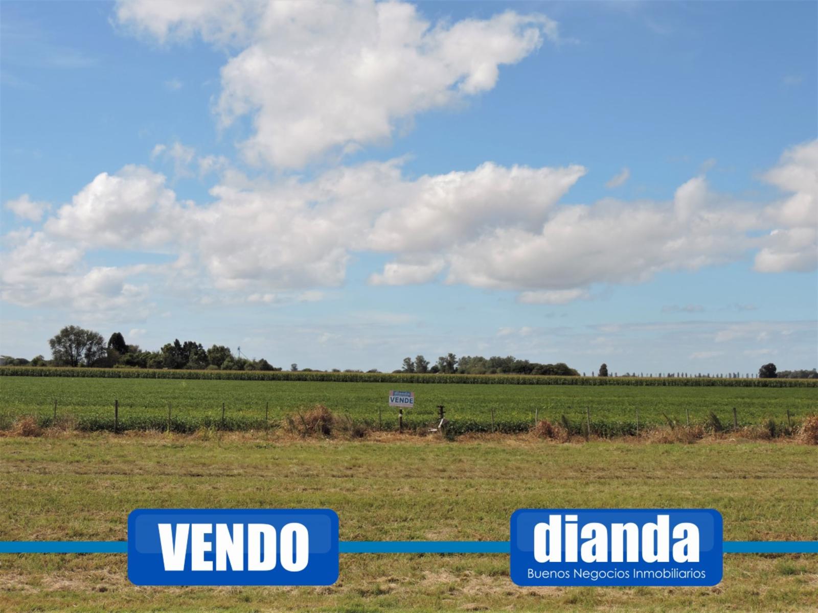 Venta 1,3 Hectáreas sobre Autopista Rosario Buenos Aires mano a Rosario - 1