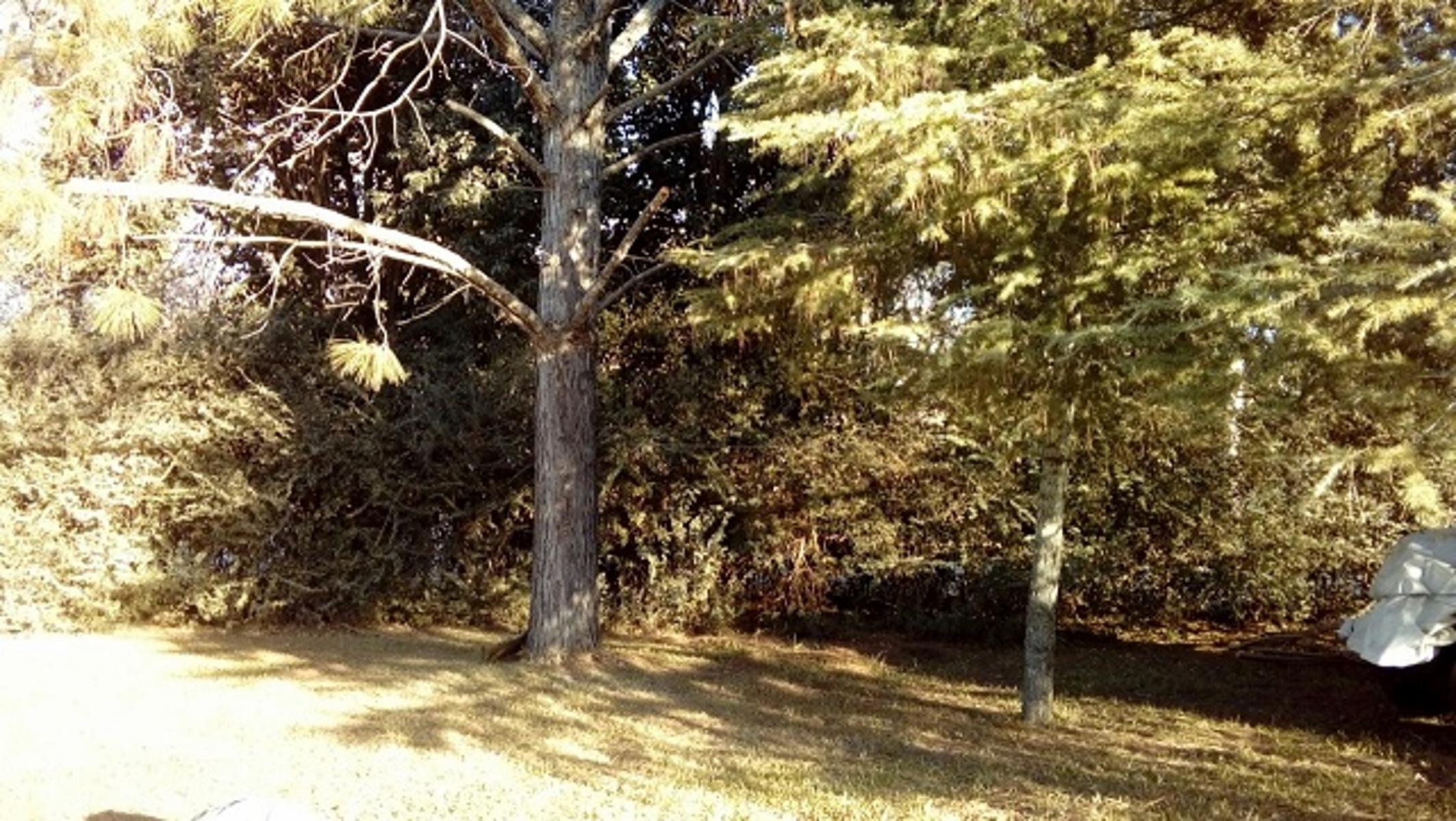 CASA VALLE ANISACATE — foto 12