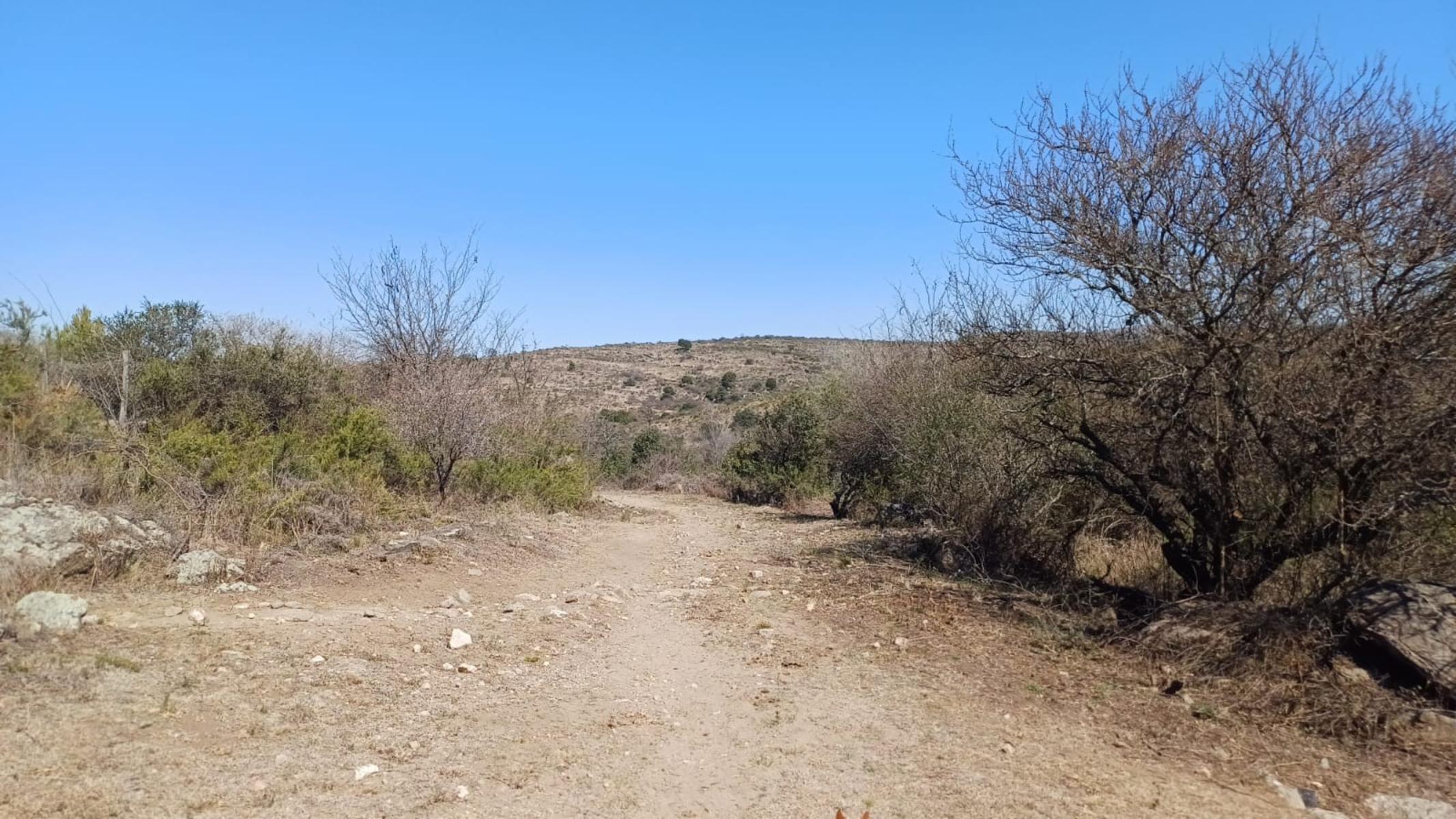 LOTES VILLA GIARDINO PORTECELLO — foto 6