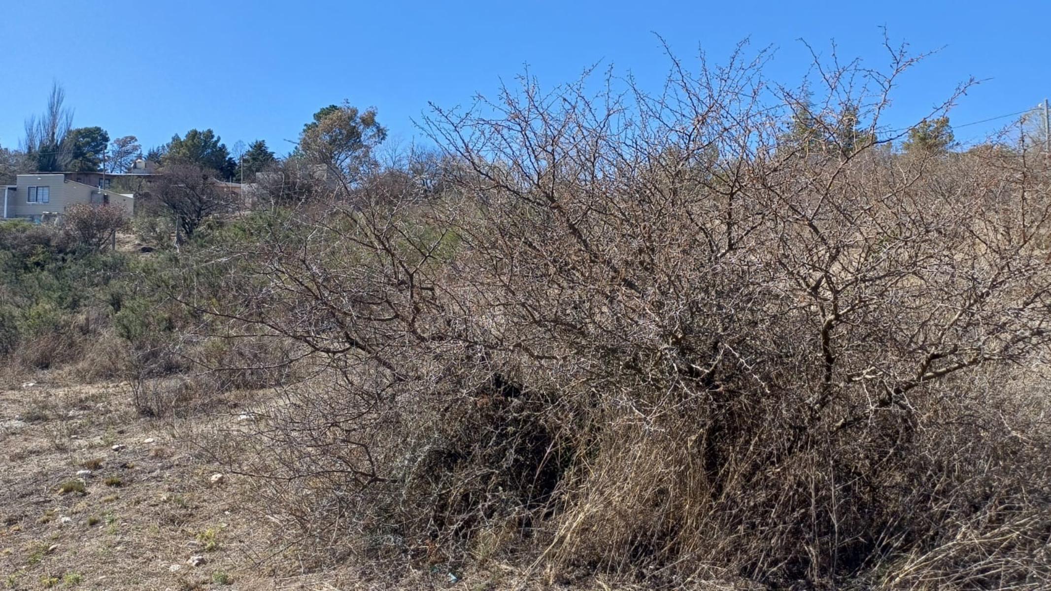 LOTES VILLA GIARDINO PORTECELLO — foto 11