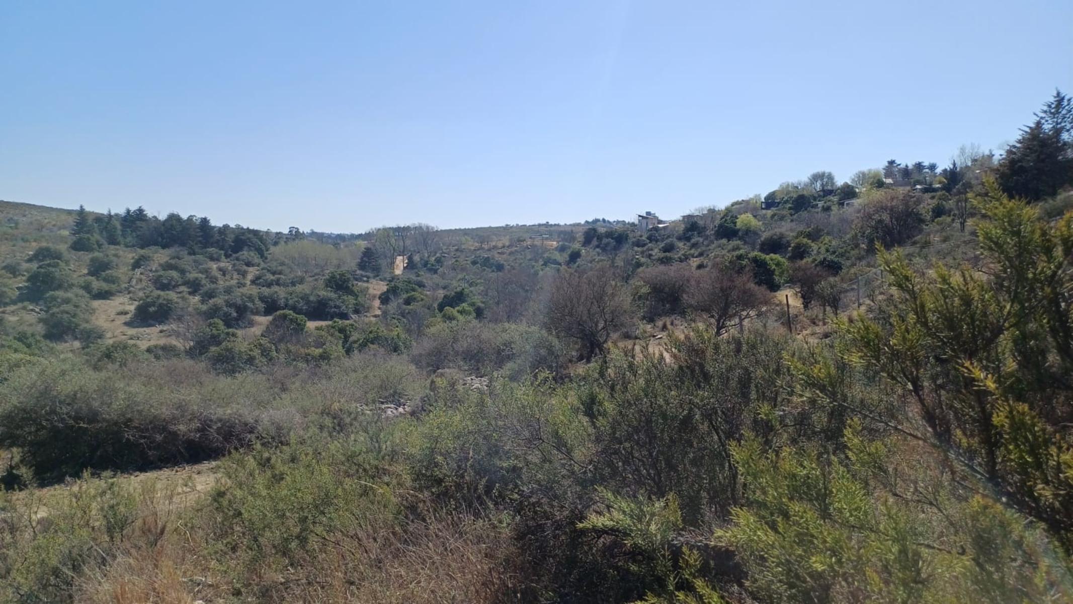 LOTES VILLA GIARDINO PORTECELLO — foto 12