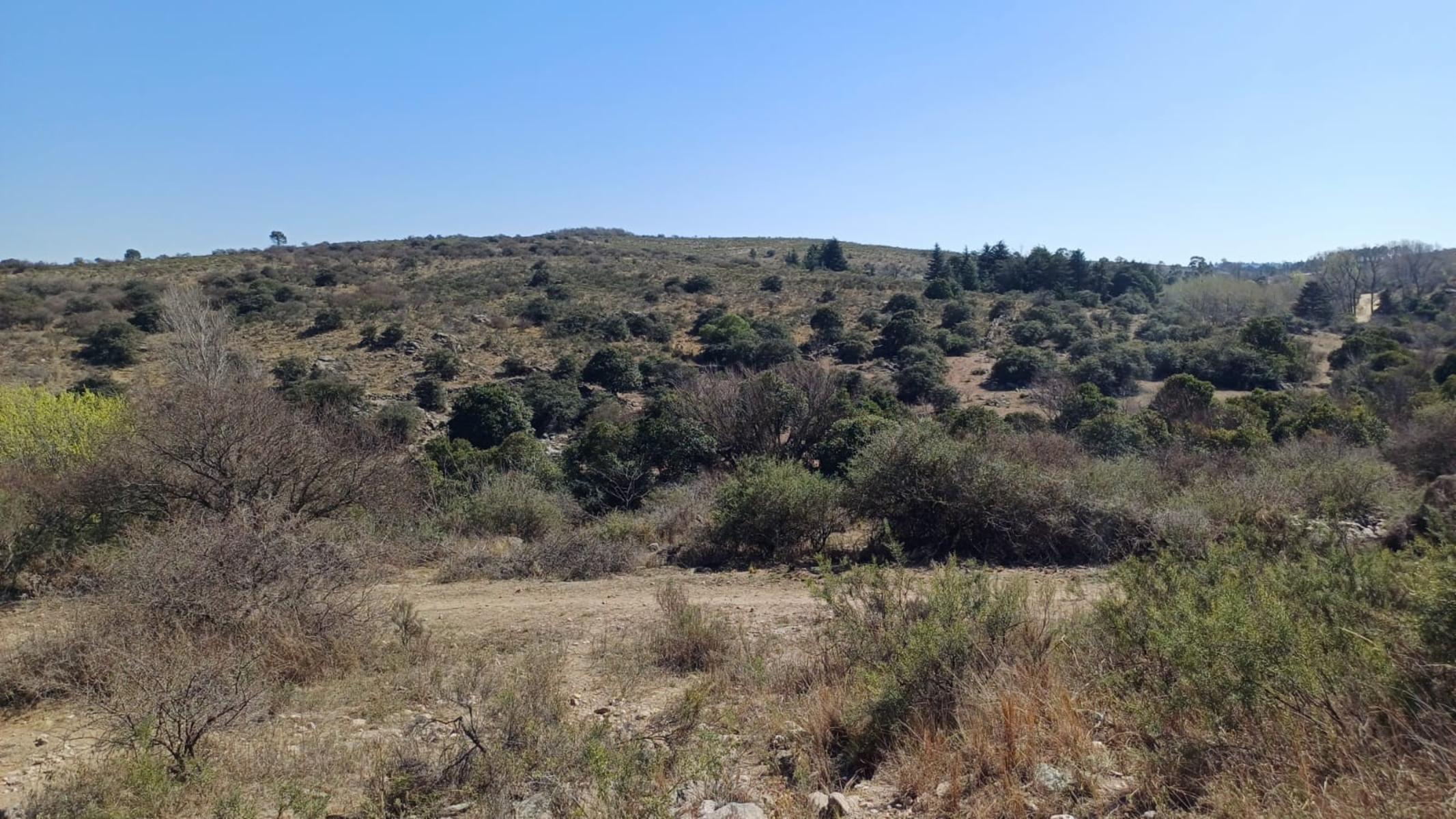 LOTES VILLA GIARDINO PORTECELLO — foto 13