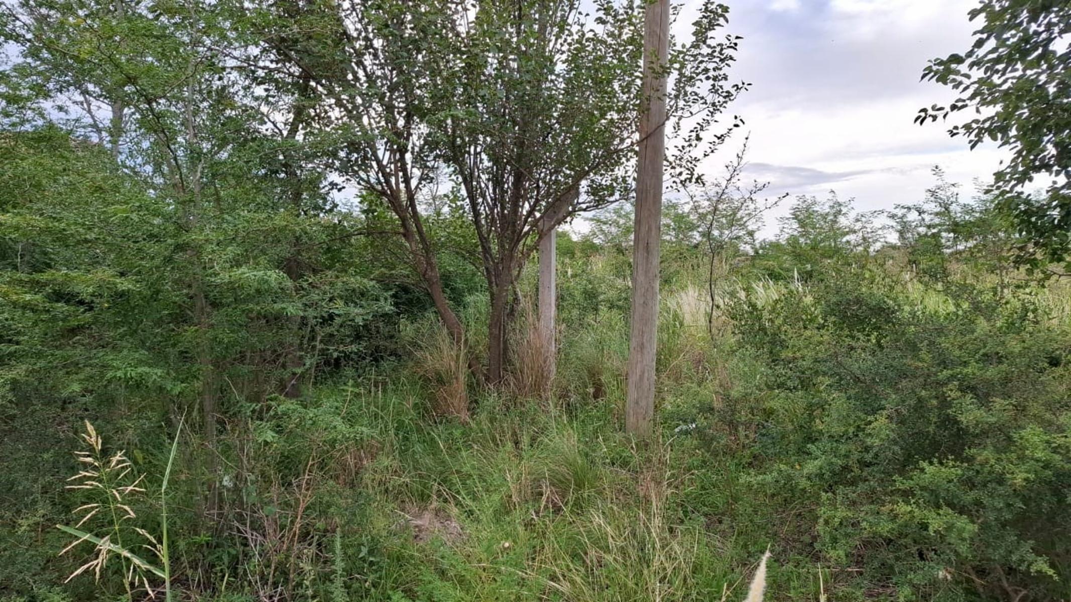 TERRENO VILLA ANISACATE — foto 2