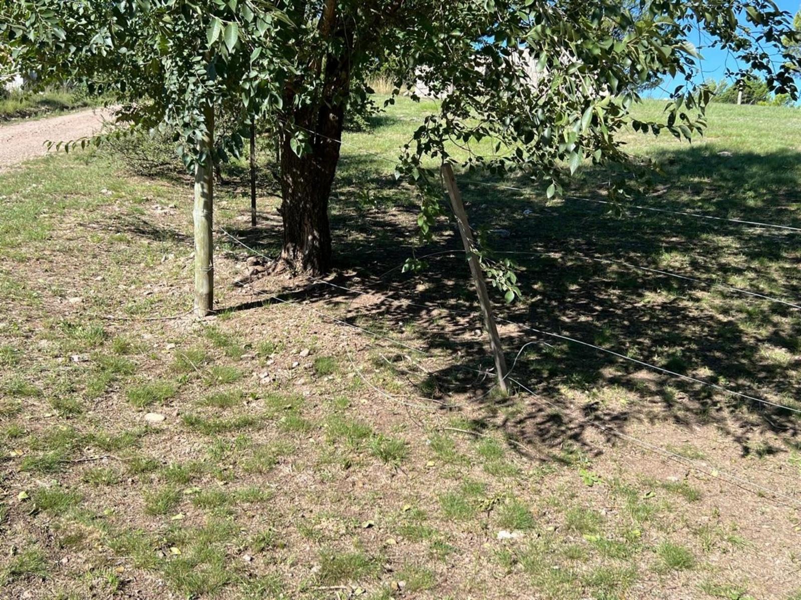 EXCELENTE LOTE VILLA GIARDINO — foto 4