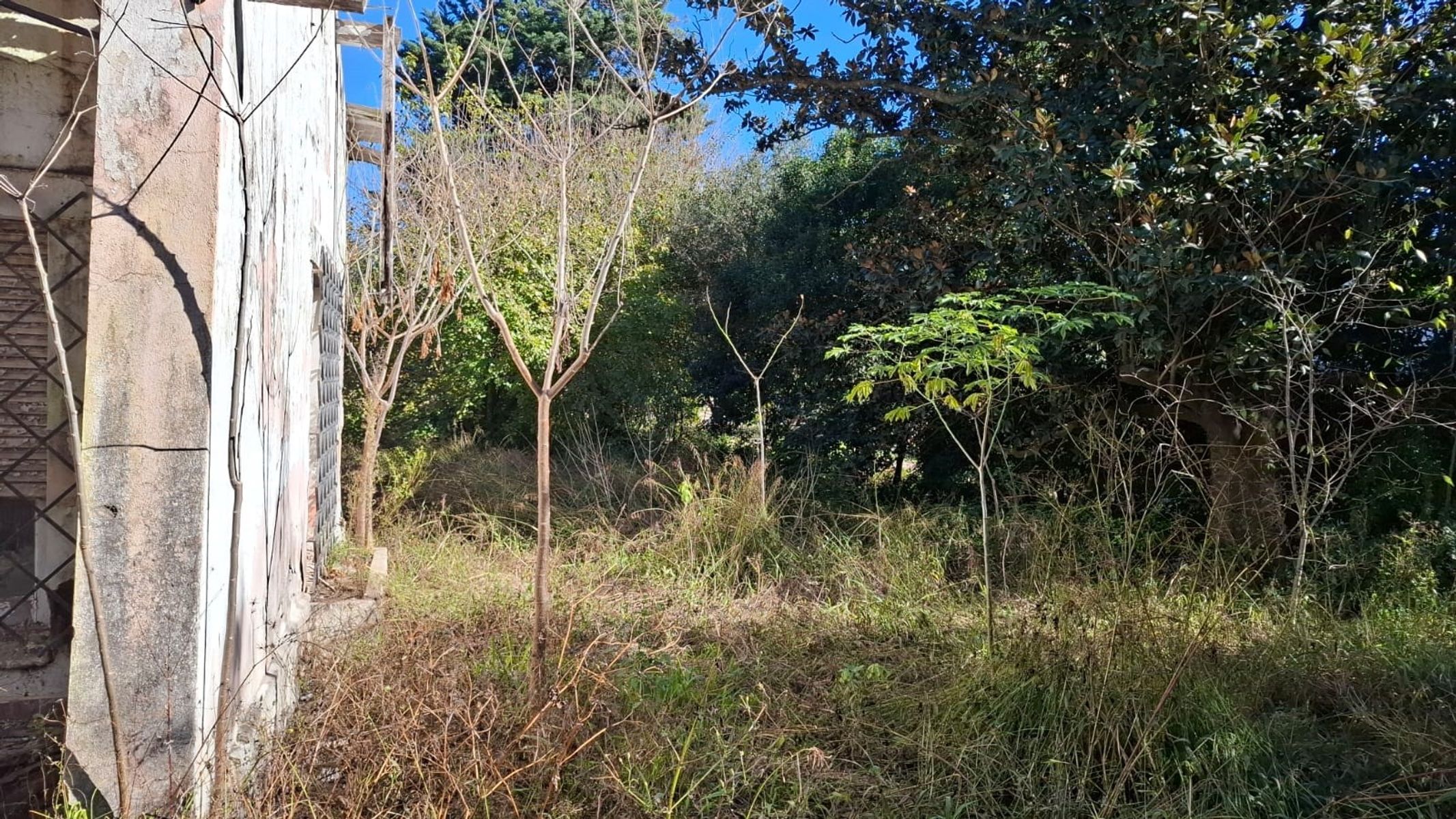 EXCELENTE FRACCION DE TERRENO — foto 8
