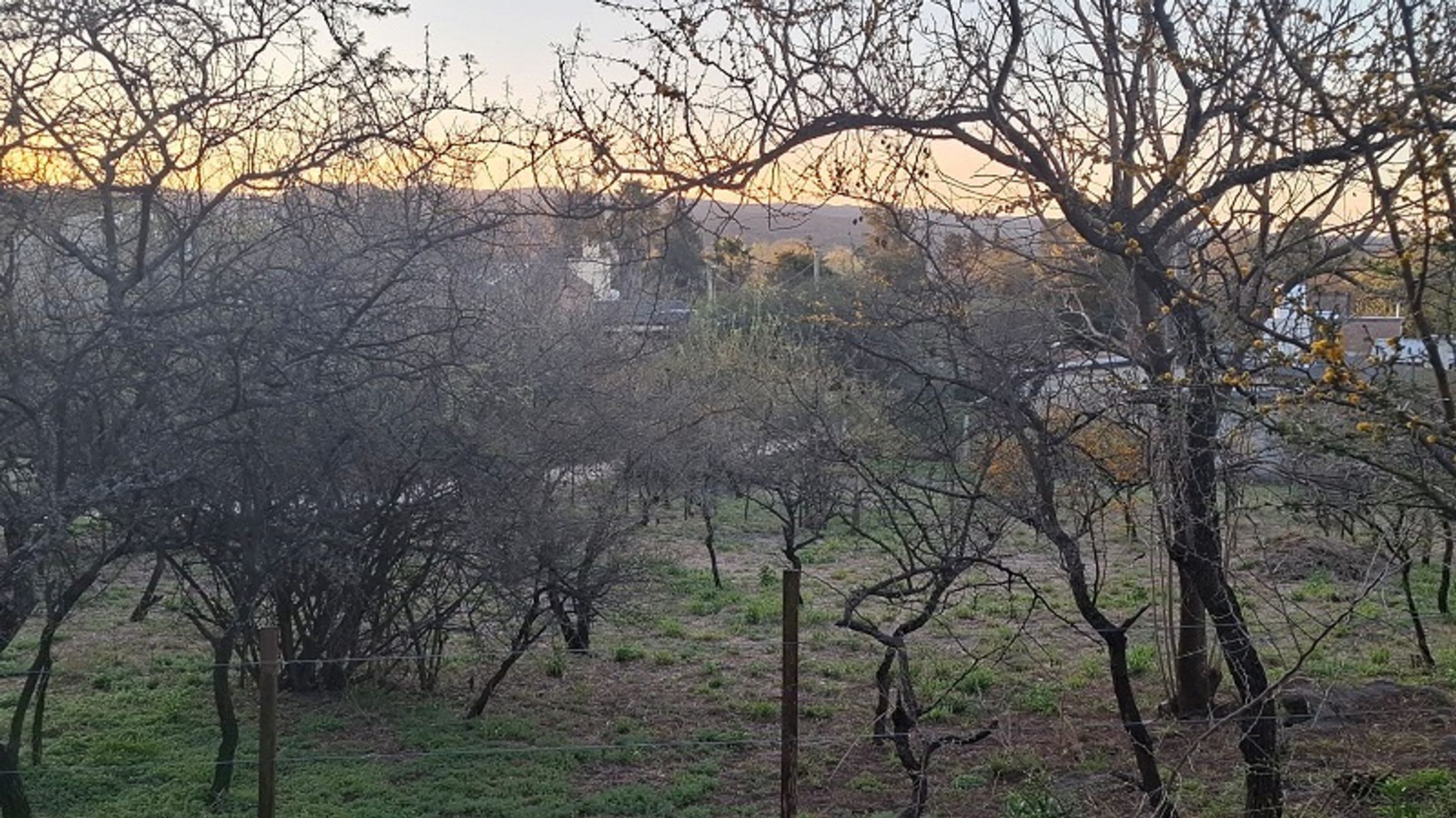 HERMOSO TERRENO LA BOLSA — foto 3