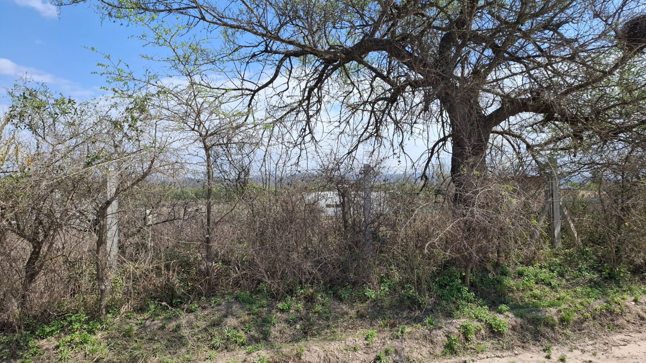 DOS LOTES MONTE Y MANTO — foto 2