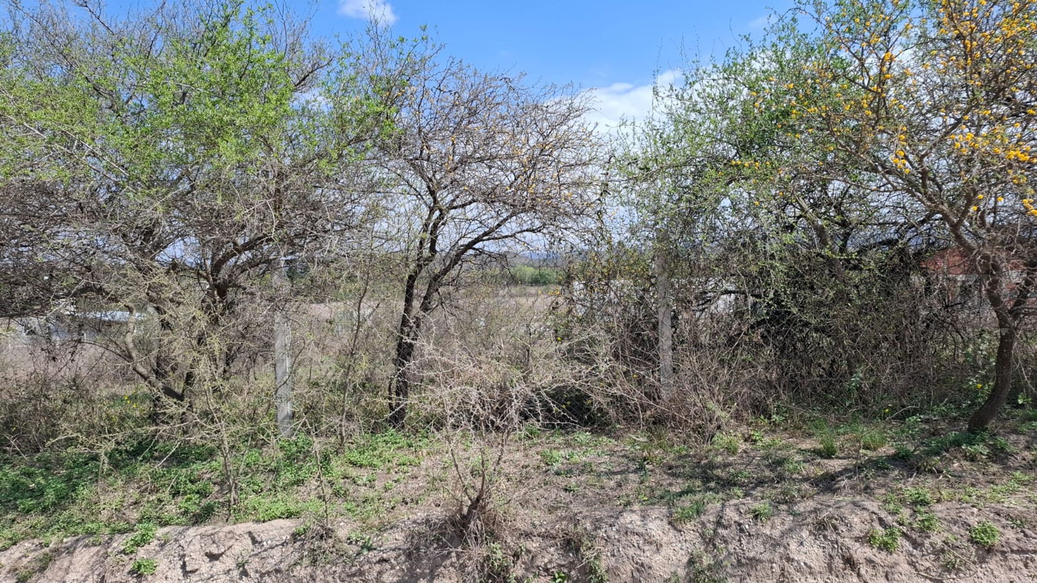DOS LOTES MONTE Y MANTO — foto 5