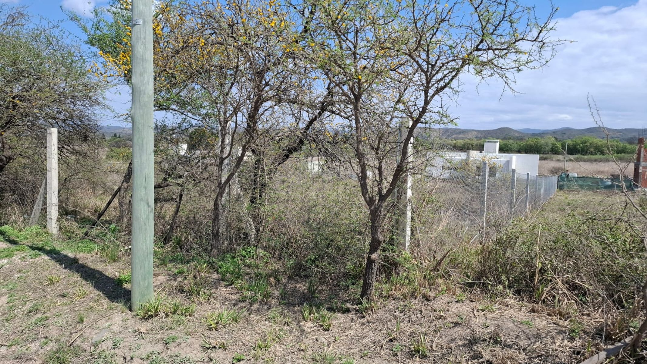 DOS LOTES MONTE Y MANTO — foto 6