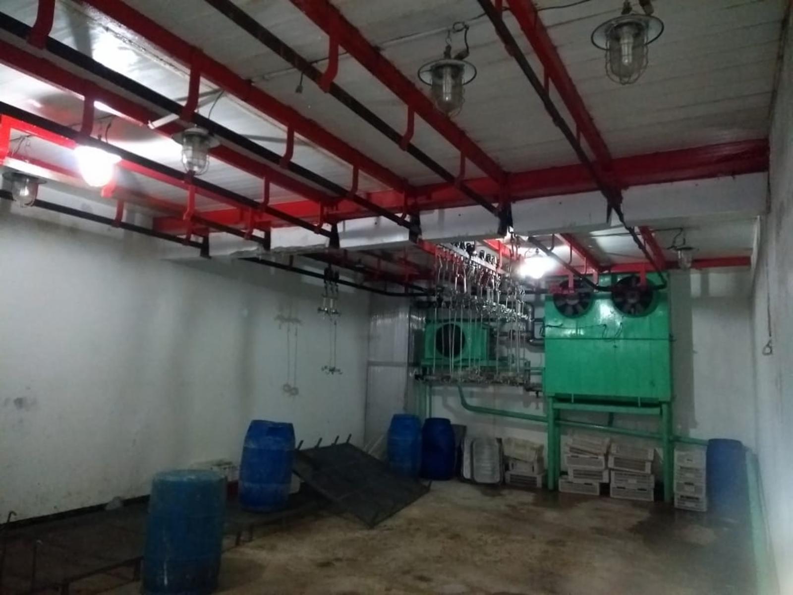 Planta, Frigorifico C/ Senasa Vacuno/porcino Mataderos - 5