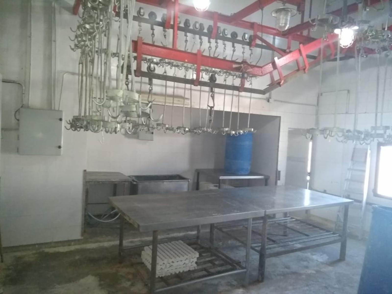 Planta, Frigorifico C/ Senasa Vacuno/porcino Mataderos - 4