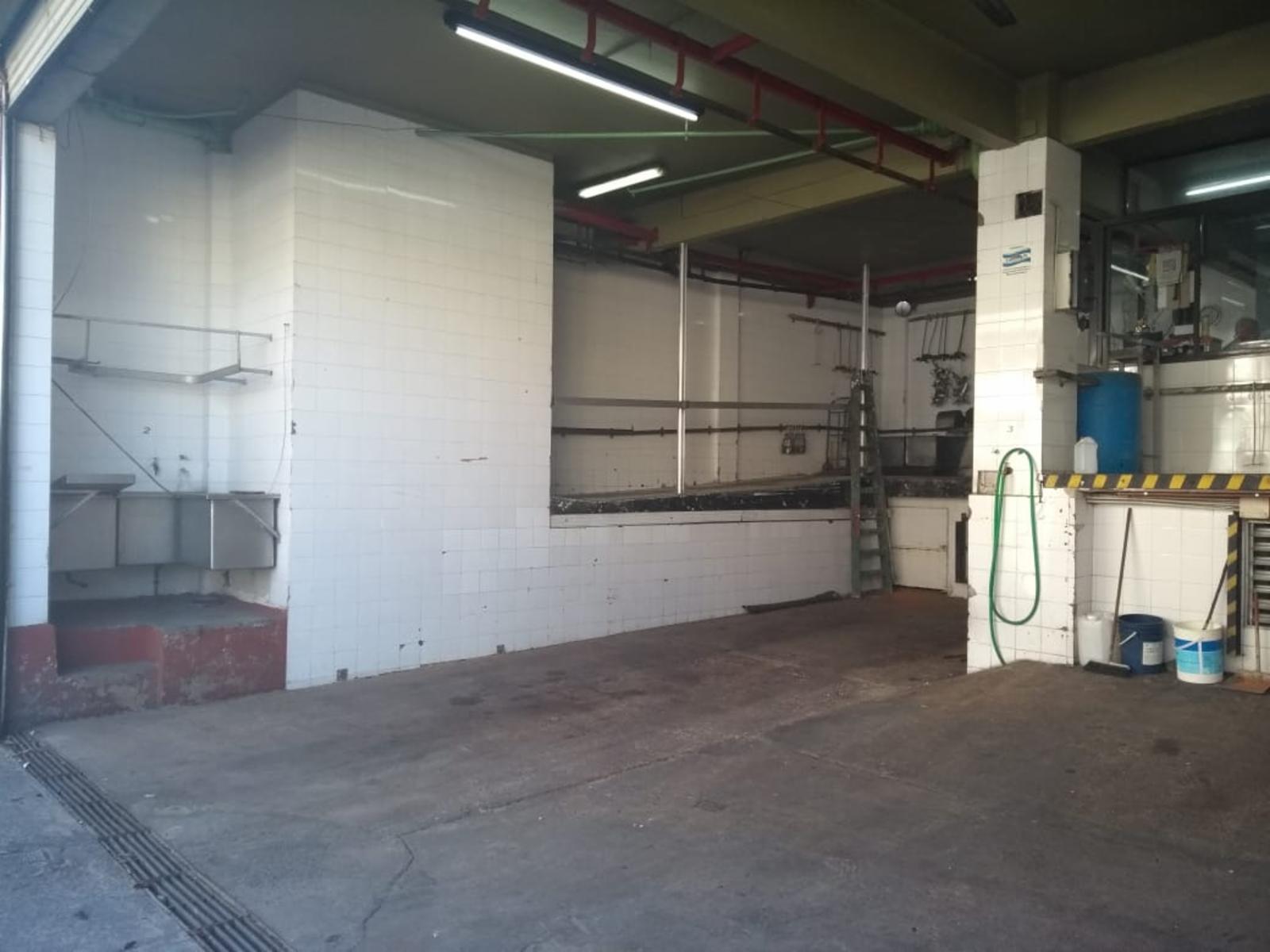 Planta, Frigorifico C/ Senasa Vacuno/porcino Mataderos - 8