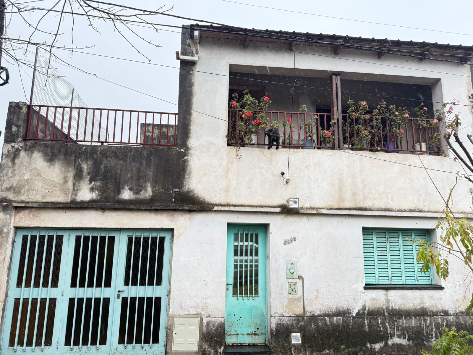 Patricios 981 - casa en venta — foto 5
