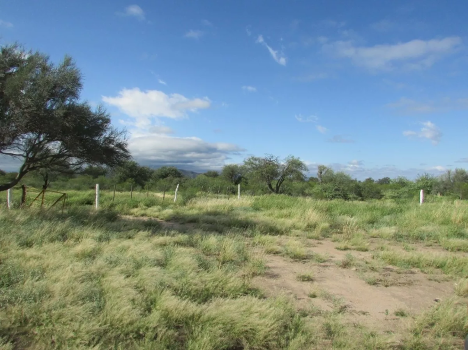 CAMPO EN VENTA, SERREZUELA, CÓRDOBA — foto 2